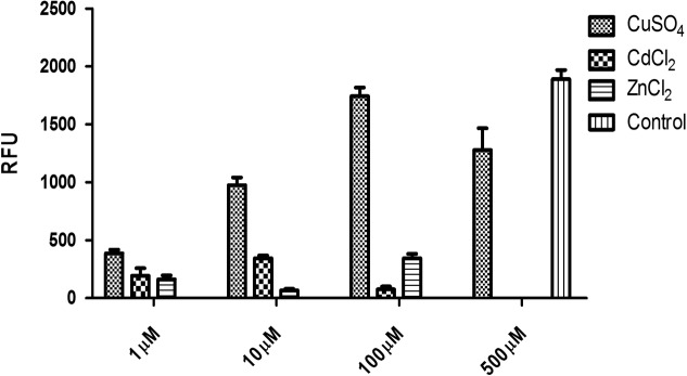 FIGURE 3