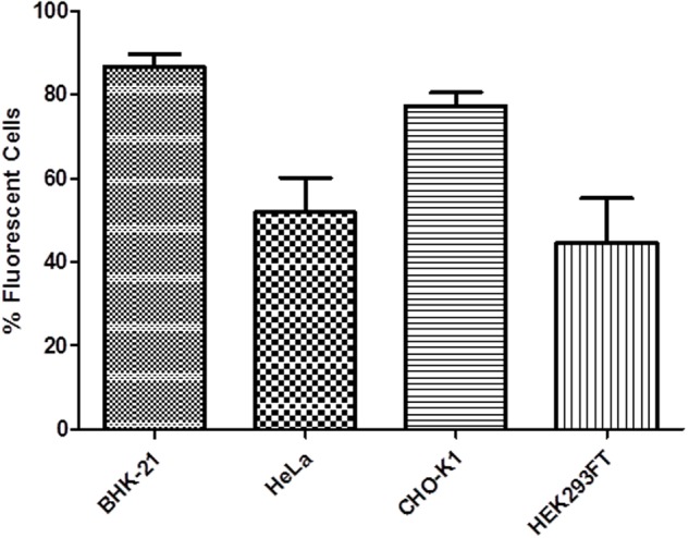 FIGURE 5