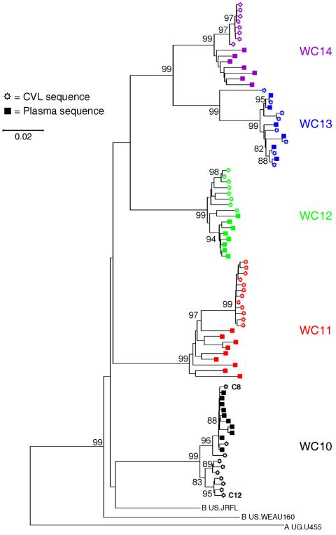 FIG. 2.