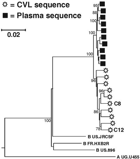 FIG. 1.