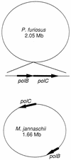 FIG. 5
