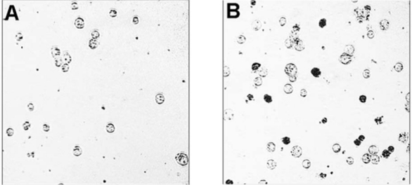 Figure 10.