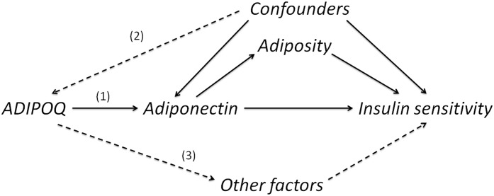 FIG. 1.