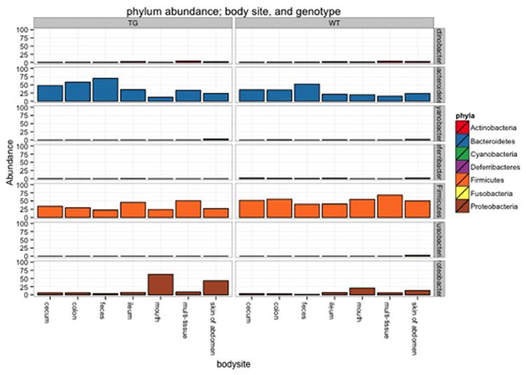 Figure 24