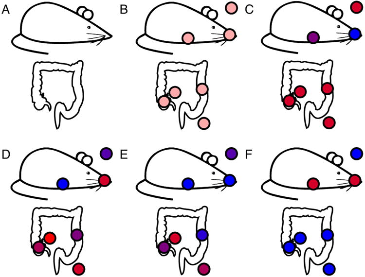 Figure 19