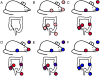 Figure 19
