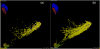 Figure 20