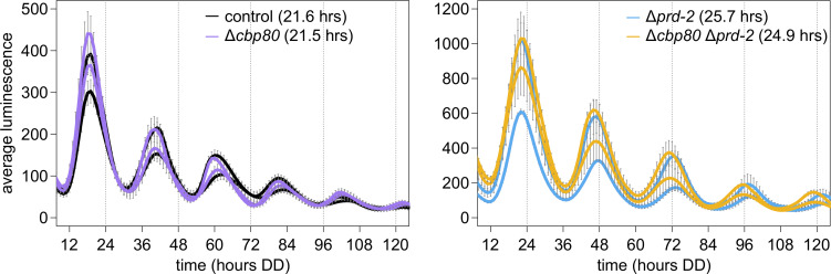 Figure 5—figure supplement 1.