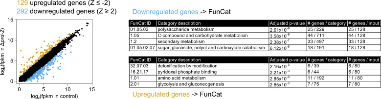 Figure 3—figure supplement 1.