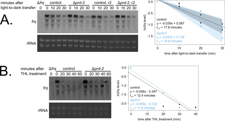 Figure 3—figure supplement 2.