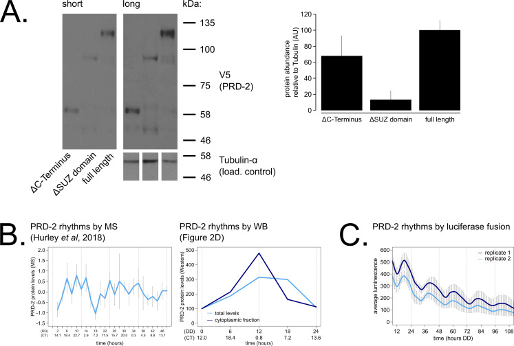 Figure 2—figure supplement 1.