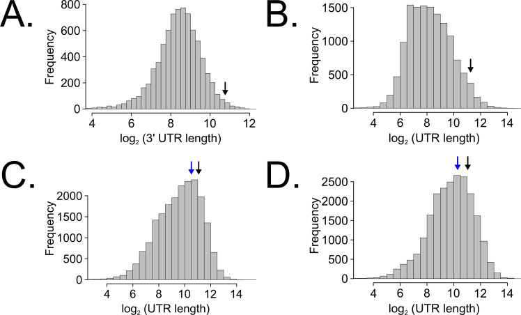 Figure 5—figure supplement 2.