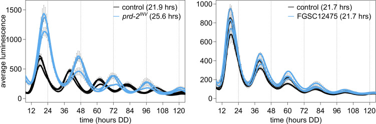 Figure 1—figure supplement 1.