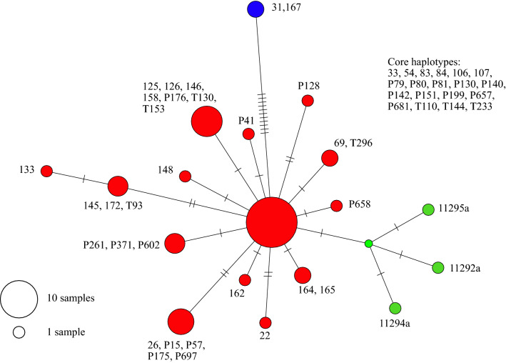 Figure 7