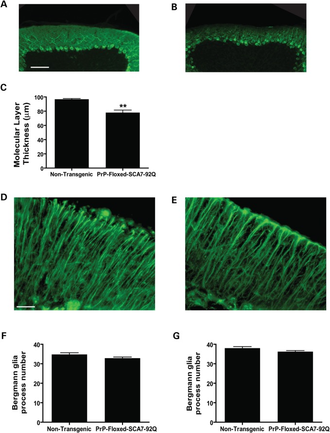 Figure 2.