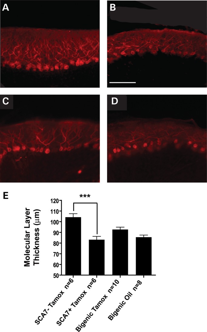 Figure 5.