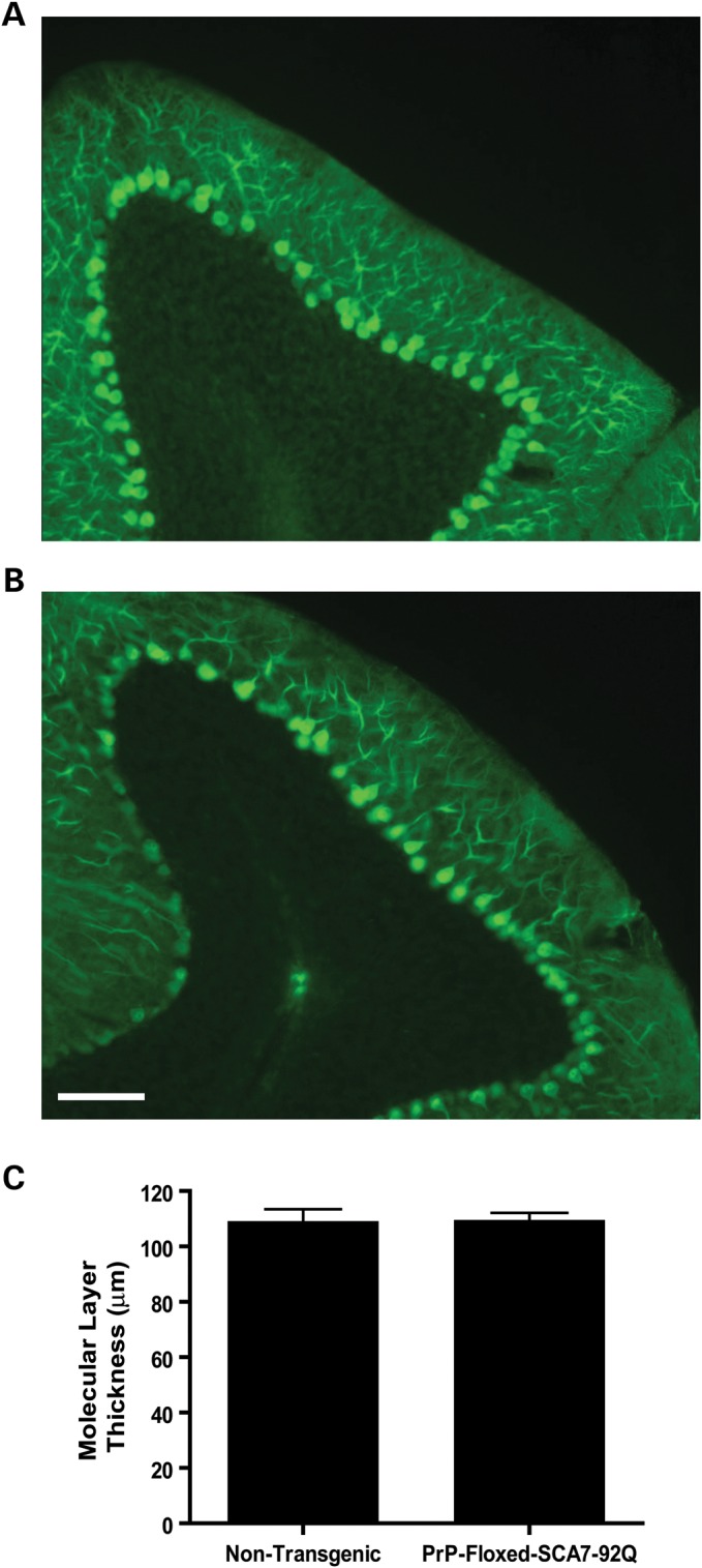 Figure 1.