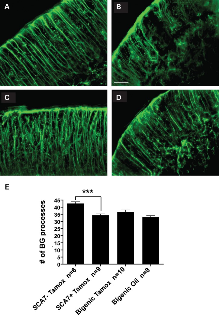 Figure 6.