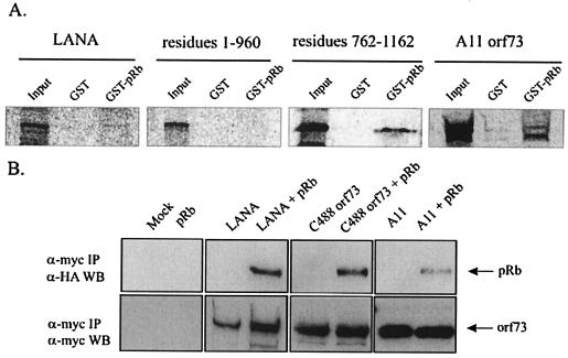 FIG. 8.