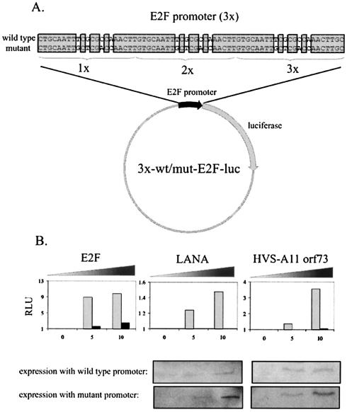 FIG. 9.