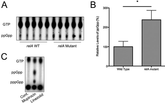 FIG 1 