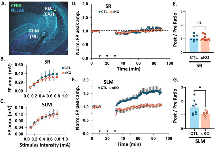 Fig. 2: