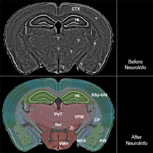 graphic file with name nihms-1518324-f0010.jpg