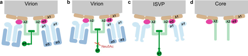 Fig. 1