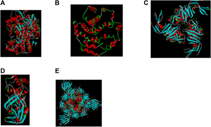 FIGURE 2