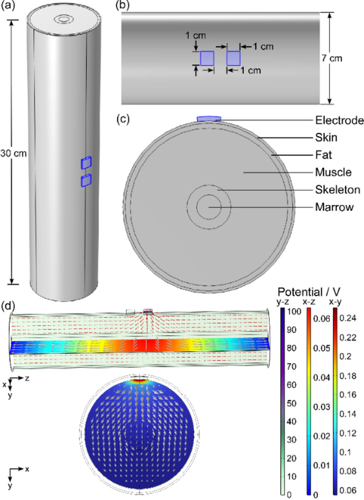 Fig. 3