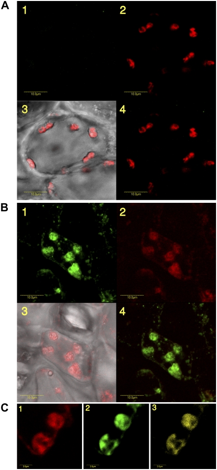 Figure 2.