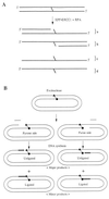 FIG. 10