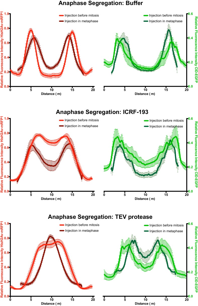 Figure 6—figure supplement 1.