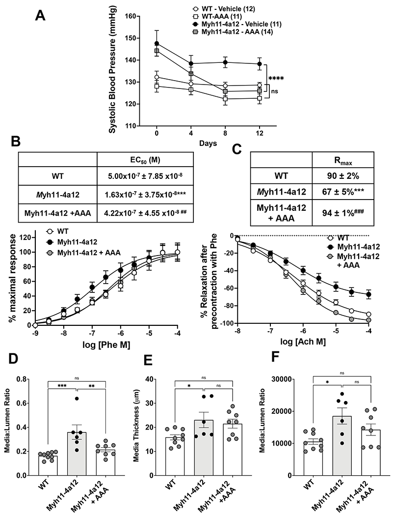 Figure 4: