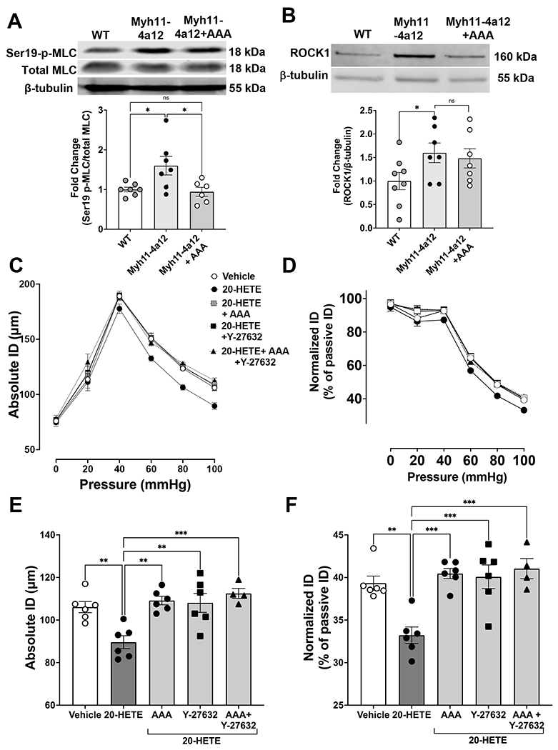 Figure 6: