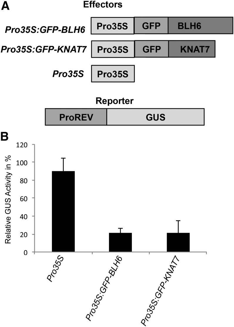 Figure 11.