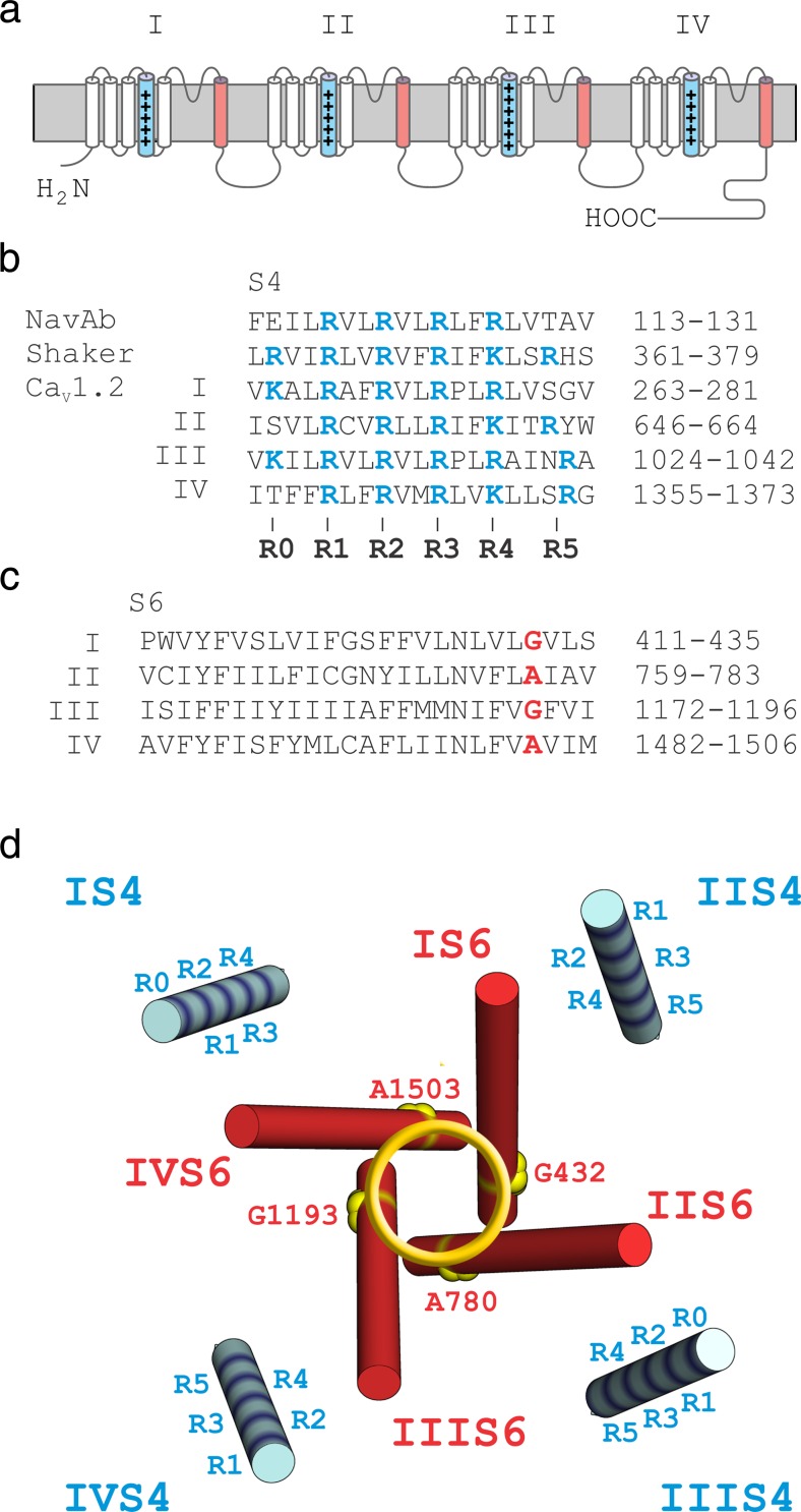 Fig. 1