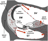 Figure 8