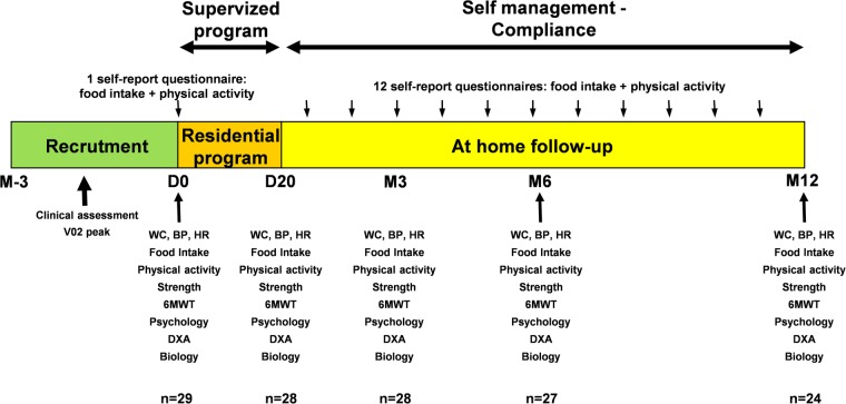 Figure 1