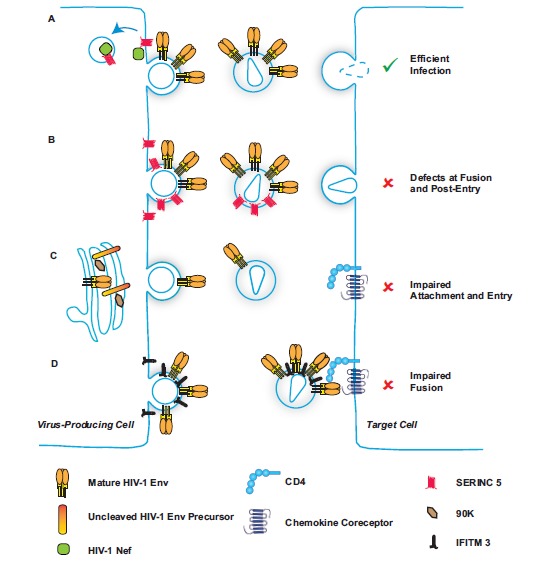 Fig. (1)