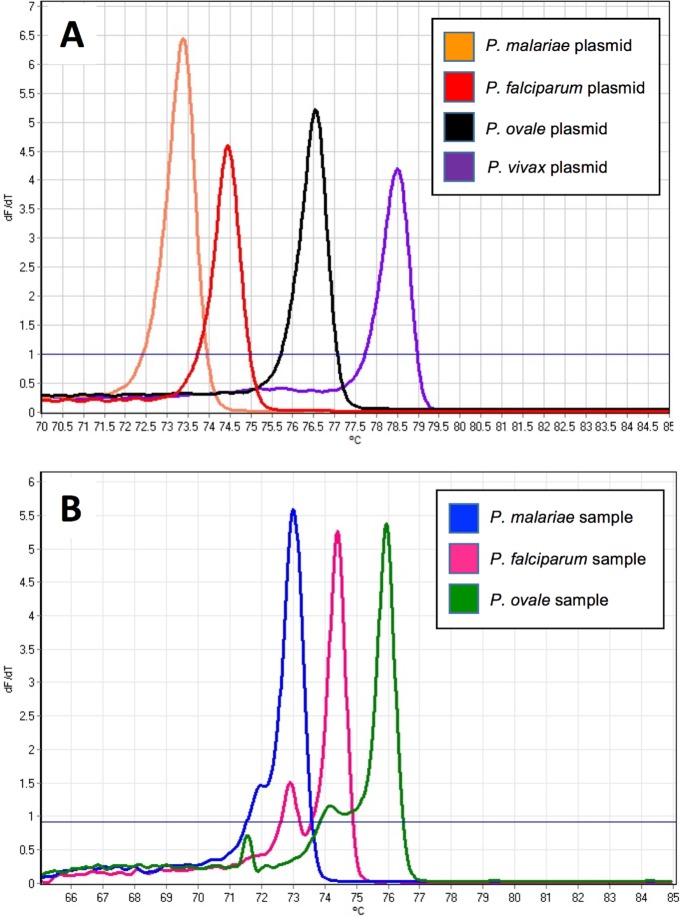 FIG 1