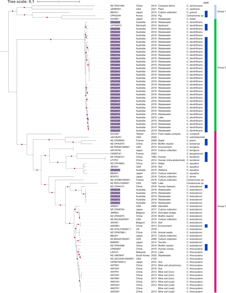 FIG 1