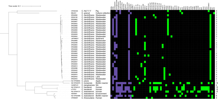 FIG 4