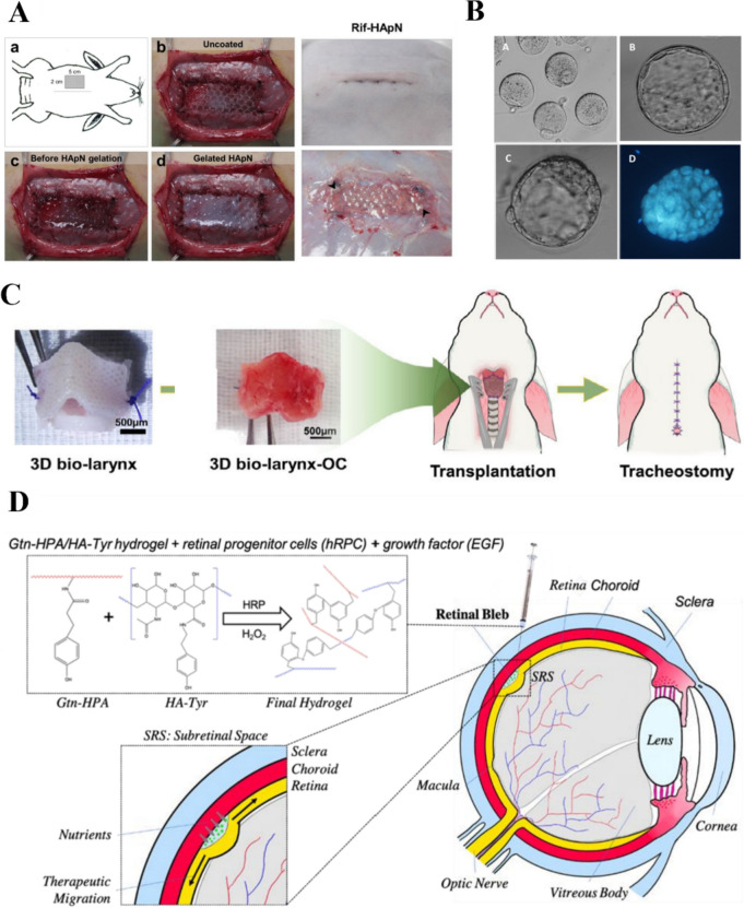 Fig. 10