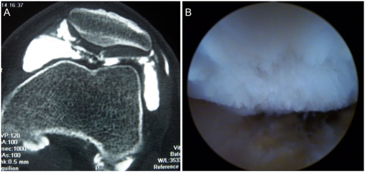 Figure 1.