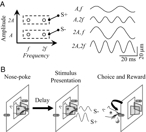 Fig. 1.