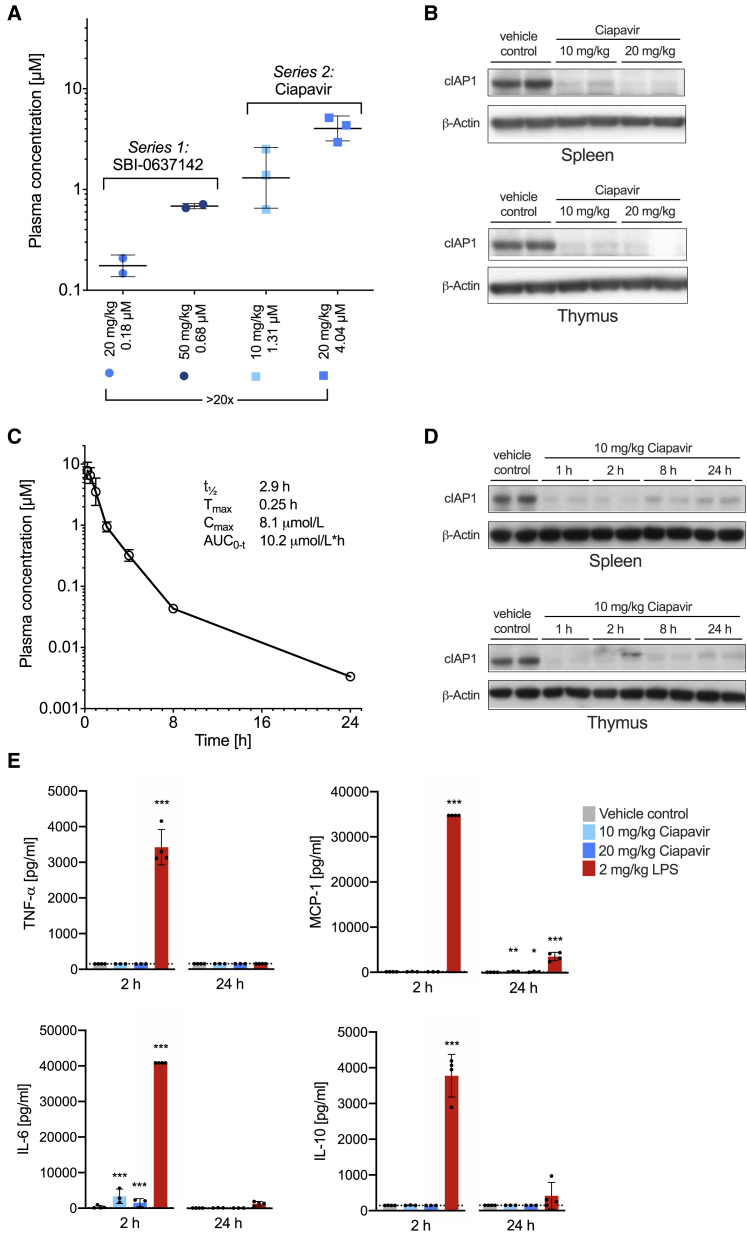 Figure 3