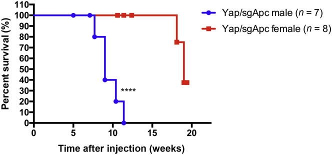 Figure 12