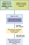 Figure 1