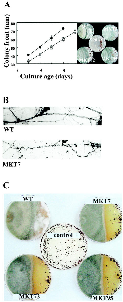 FIG. 5.